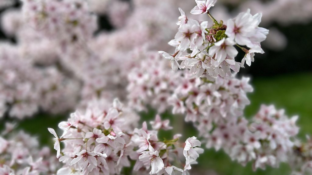 Is Spring on the way - for real this time?