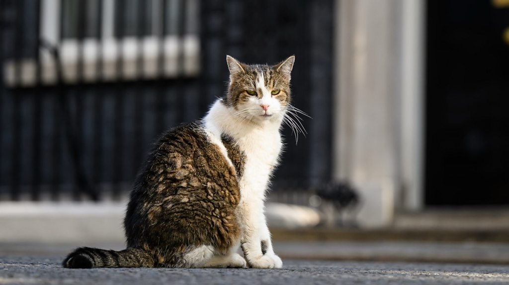 Macron jokes about Larry the cat with Starmer and Reeves