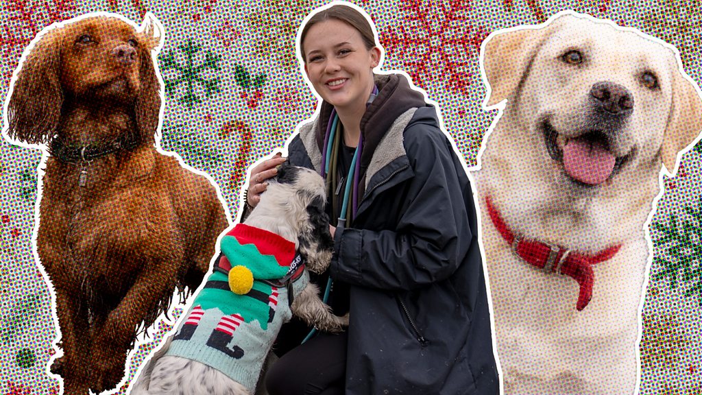 Does your dog get Christmas anxiety? Here are some top tips