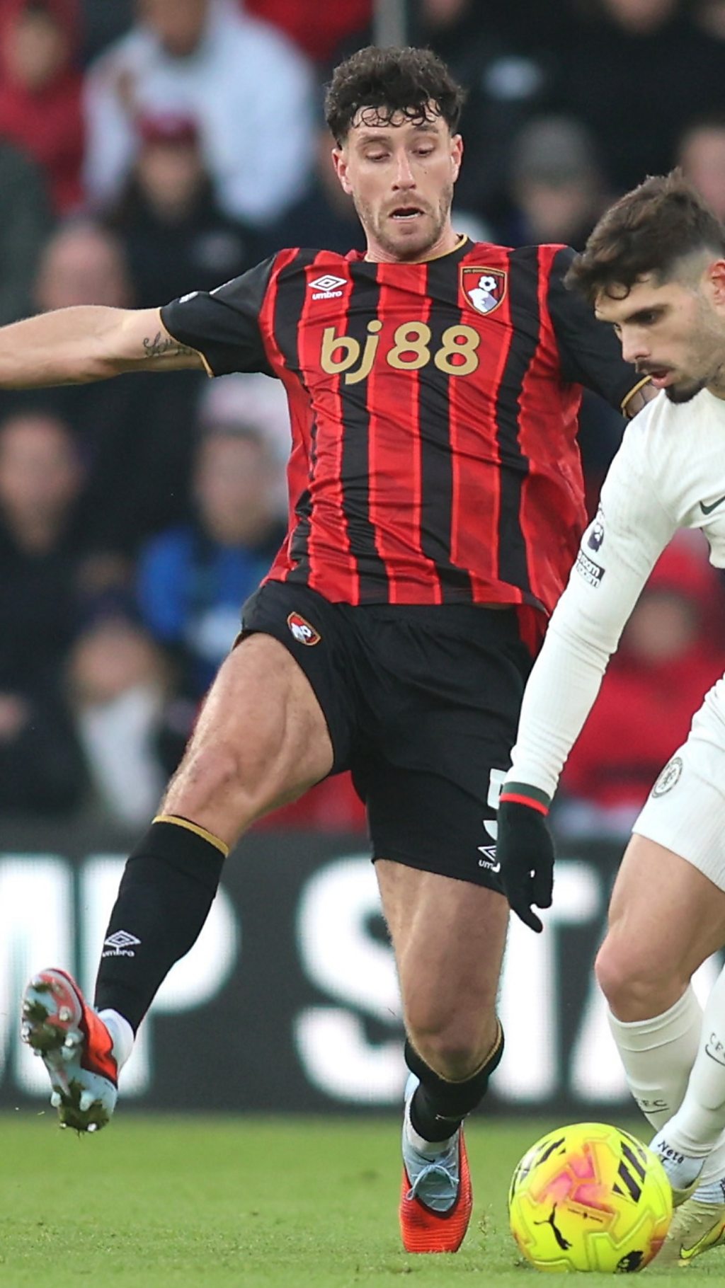 What is Marcos Senesi's future?