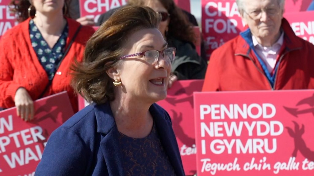 'Vote Plaid Cymru' gaffe from Welsh Labour leader