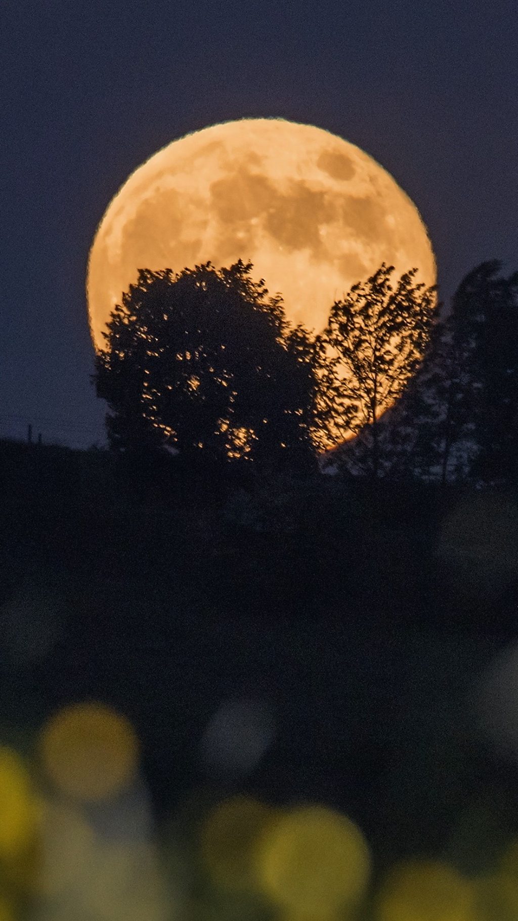 Rare 'Blue Moon' set to light up UK skies