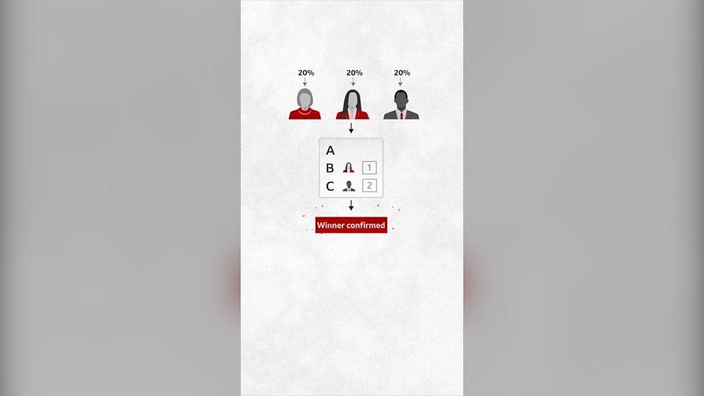 How does a leadership contest work?