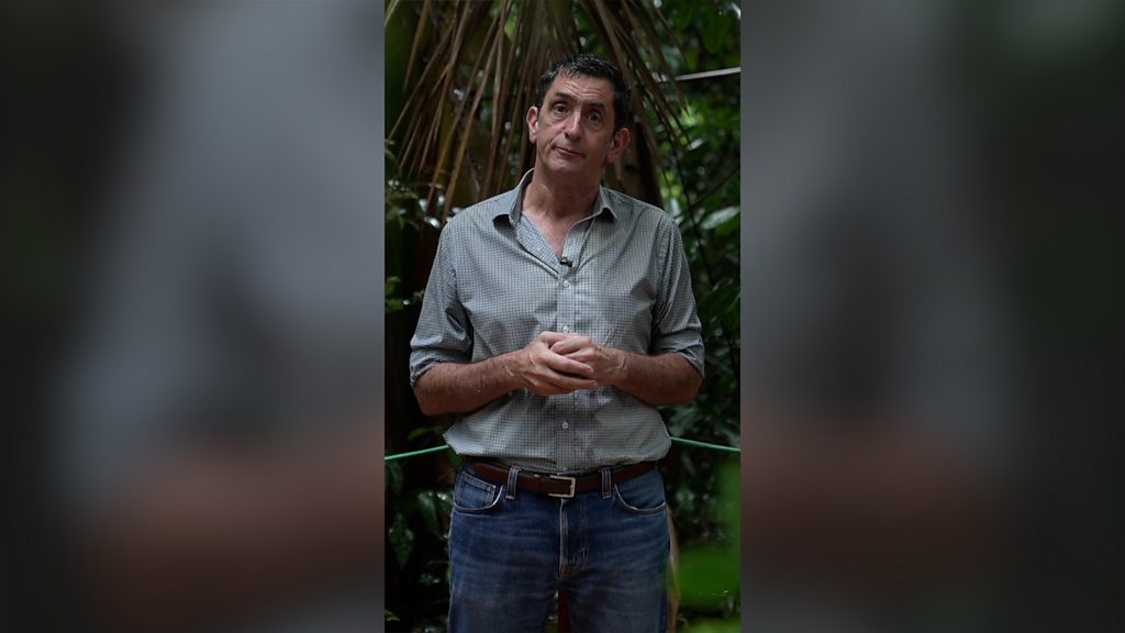 How lifting Amazon’s soya bean ban could threaten the rainforest