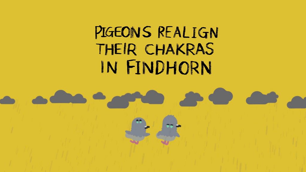 The pigeons visit Findhorn