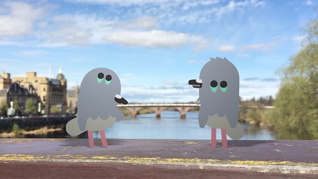 The Pigeons act up in Perth