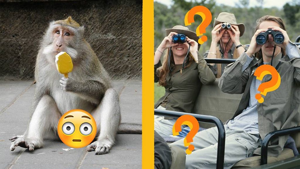 Can you spot the real headline from these April Fool's hoaxes? BBC Three