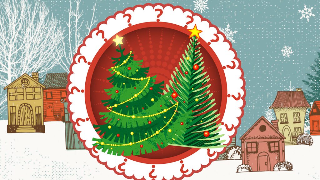 Reality Check: Your Christmas tree's carbon footprint