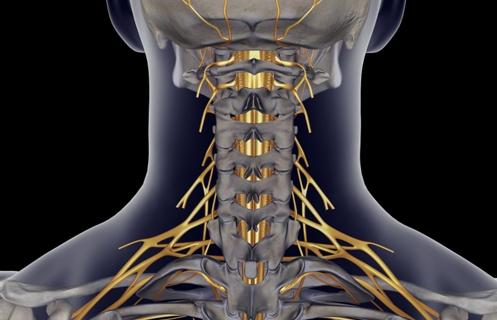 Hand and arm paralysis partially reversed BBC News