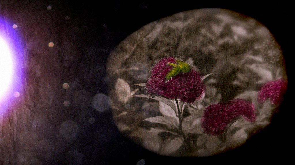 It’s Raining, It’s Pouring