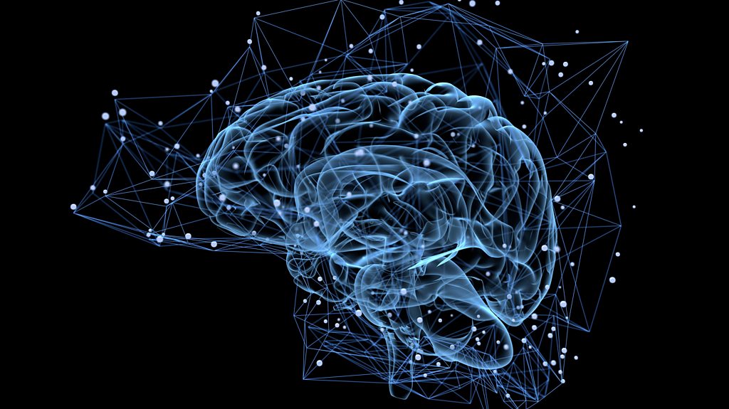 Do we really use 10% of our brain?