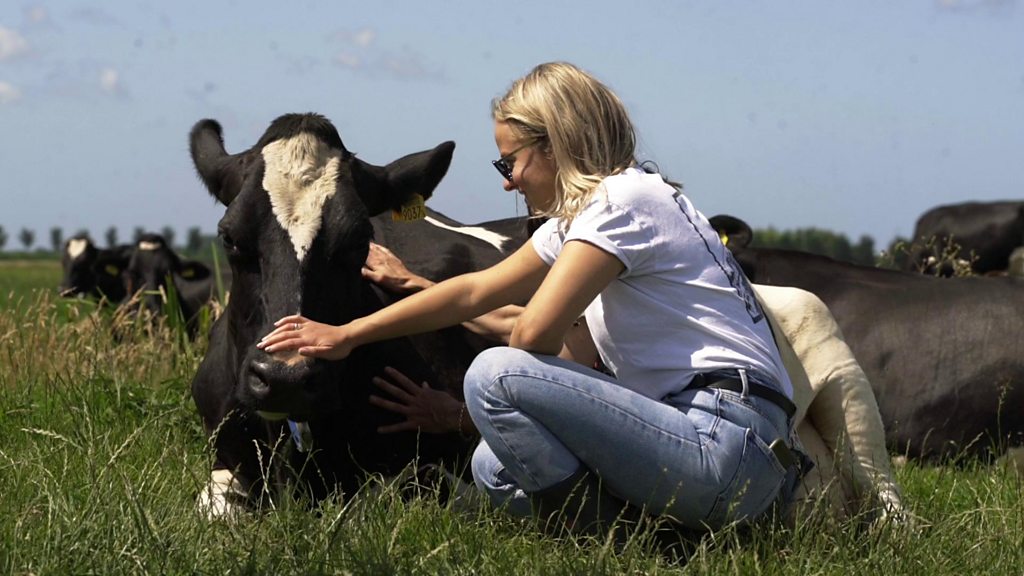 Why a Dutch wellness trend is taking the world by storm