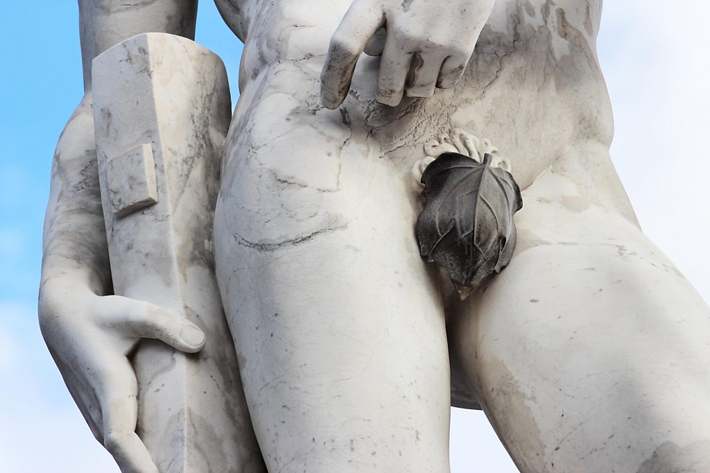 What you find when you remove a fig leaf