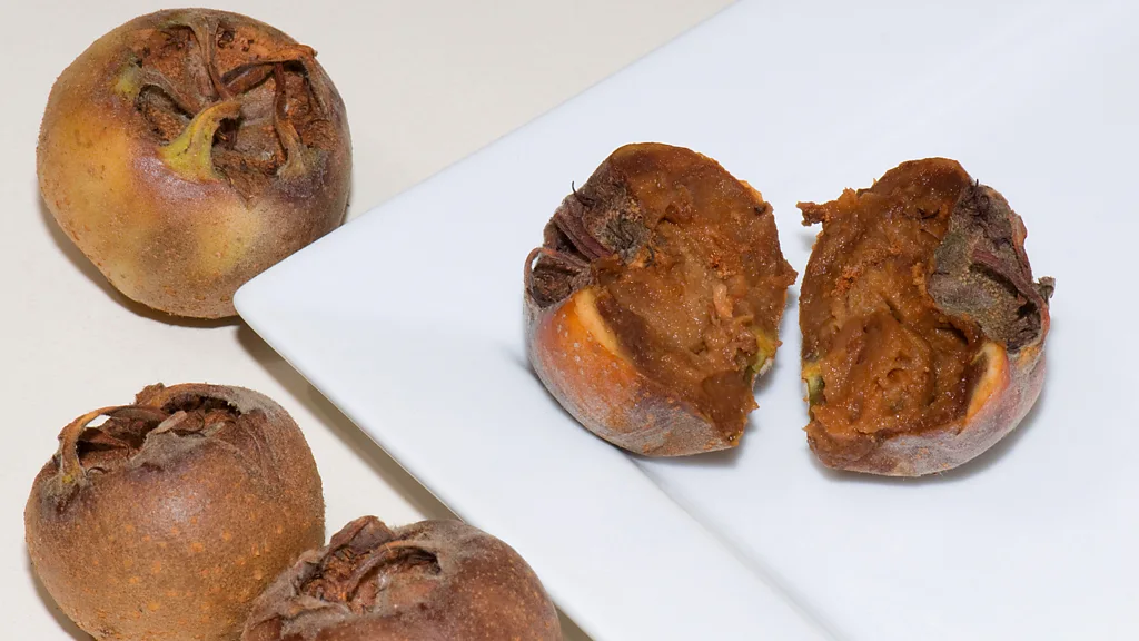 Medlar
