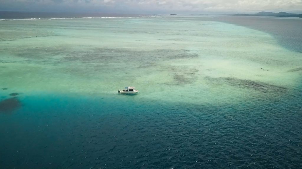 Is this the first island to vanish due to climate change?