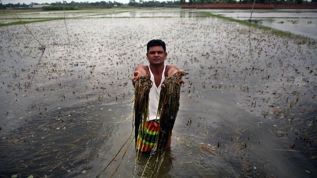 The fight to improve food security