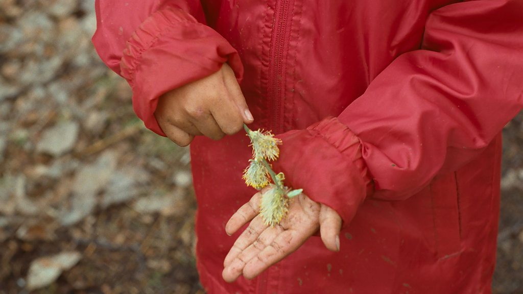 We know a better word than happy