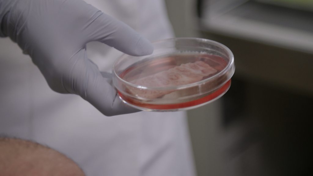 Japan: Creating the first wagyu beef in a lab