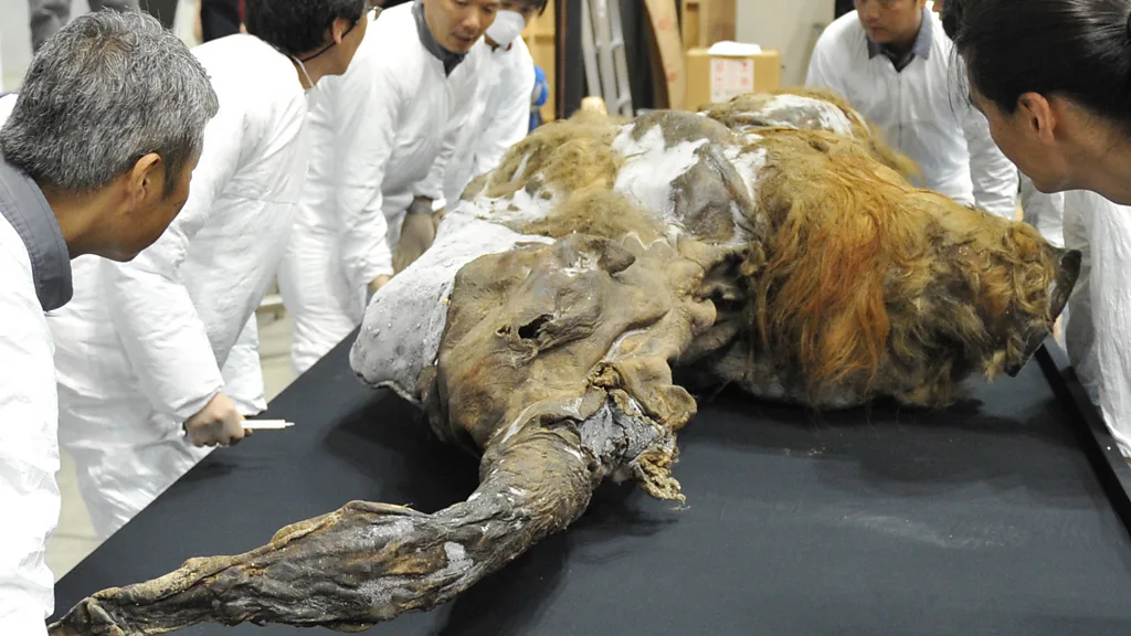 How extinct animals could be brought back from the dead