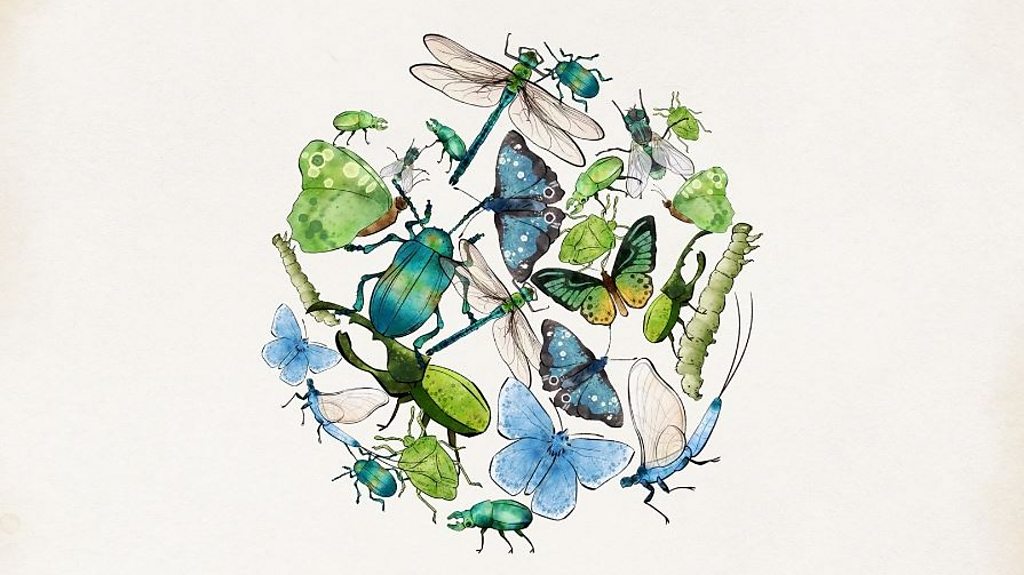 Why insects are so crucial to life