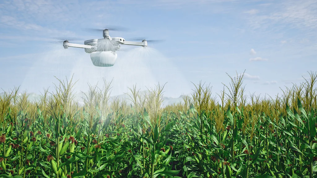 Drone sobrevolando un campo de maíz, rociando pesticidas o fertilizantes de manera precisa, representando el uso de tecnología de inteligencia artificial y drones en la agricultura para mejorar la eficiencia y reducir el uso de recursos.