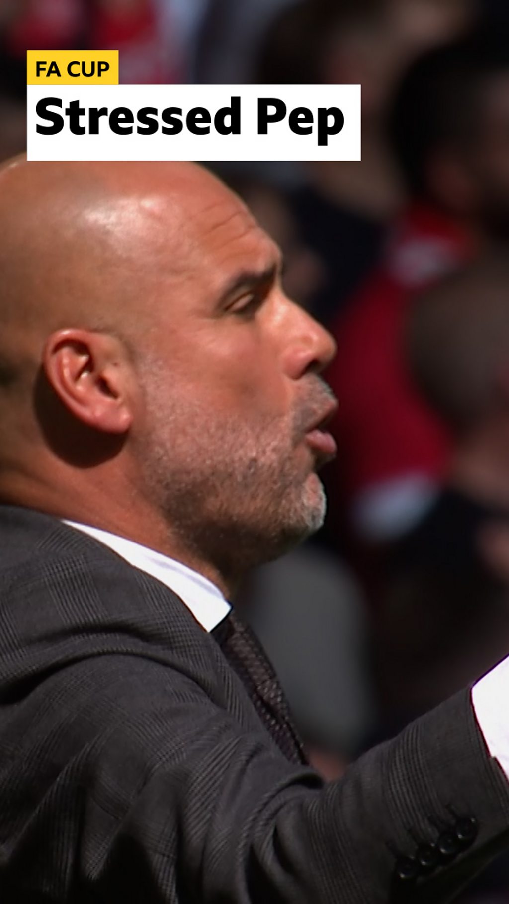 Pep Guardiola