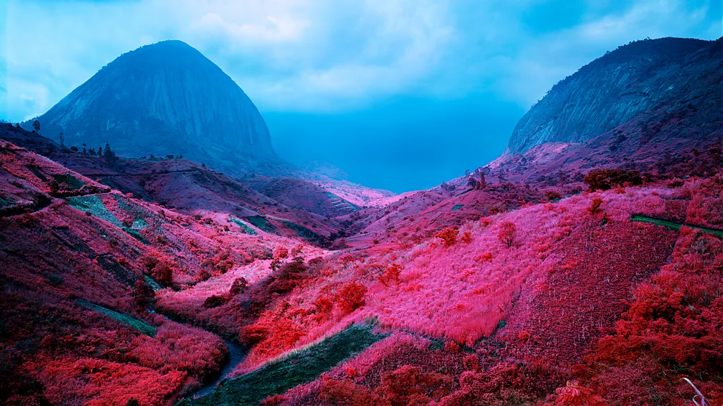Poison Glen by Richard Mosse (Credit: Richard Mosse)