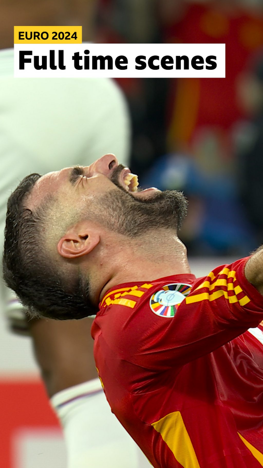 Despair and Joy as Spain are crowned champions