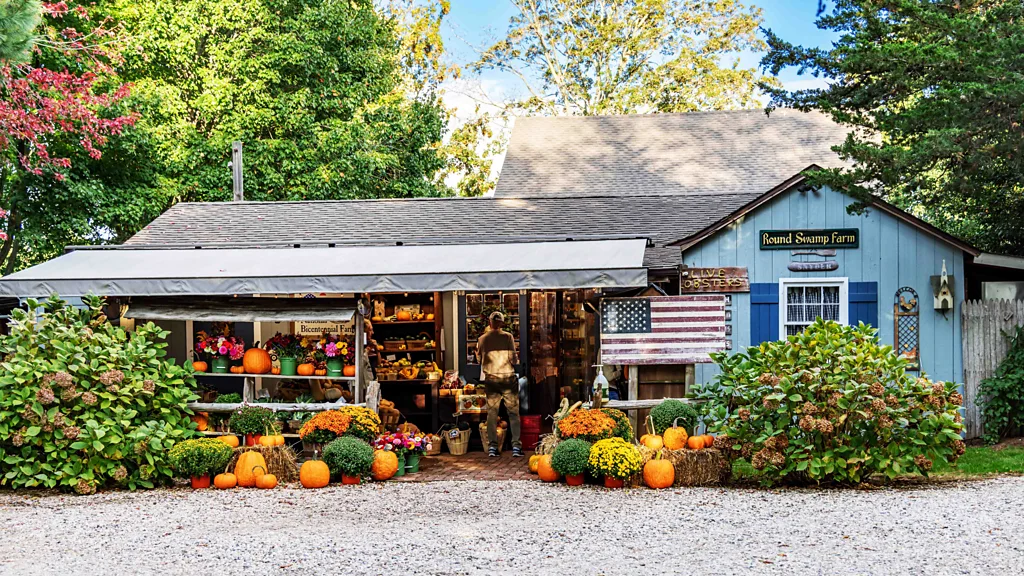 Round Swamp Farm country market