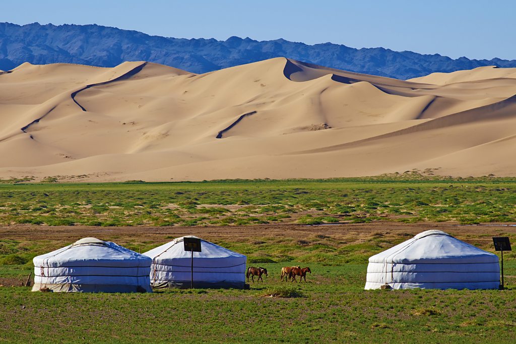 A look at life as a traditonal nomad in Mongolia