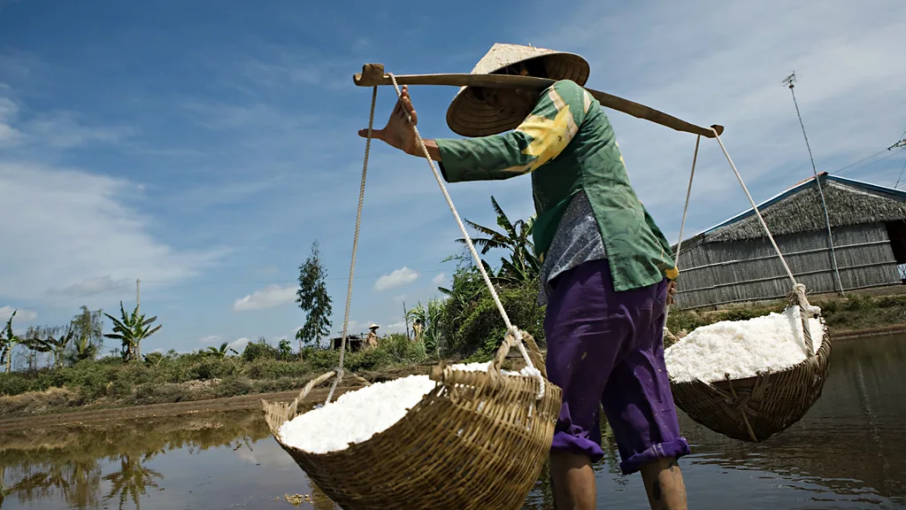 The bamboo poles used by farm workers in Vietnam and other parts of southeast Asia allow them to carry surprisingly heavy loads (Credit: Getty Images)