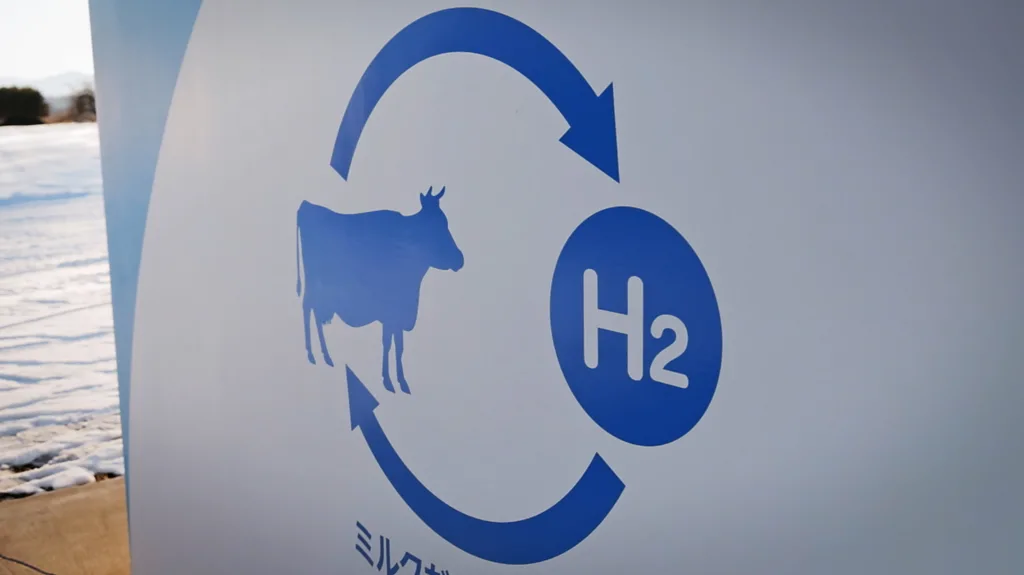 A diagram showing the circular relationship between cows and hydrogen