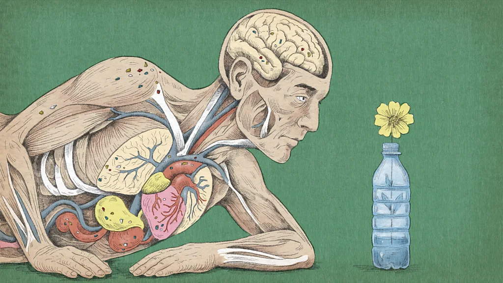 How do the microplastics in our bodies affect our health?