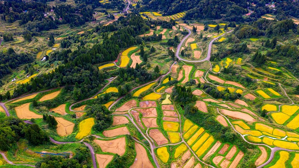 A visit to Niigata, Japan's kingdom of sake