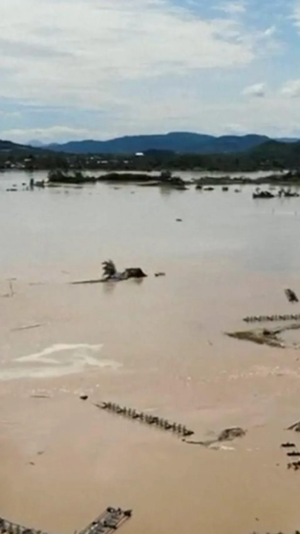 காணொளி: கிட்டத்தட்ட 200பேரின் உயிரைப் பறித்த கால்மேகி புயல்