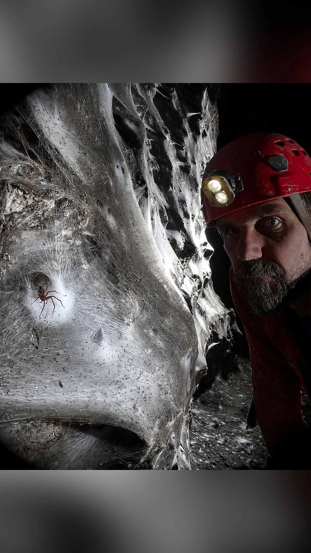 Мужчина на фоне гигантской паутины