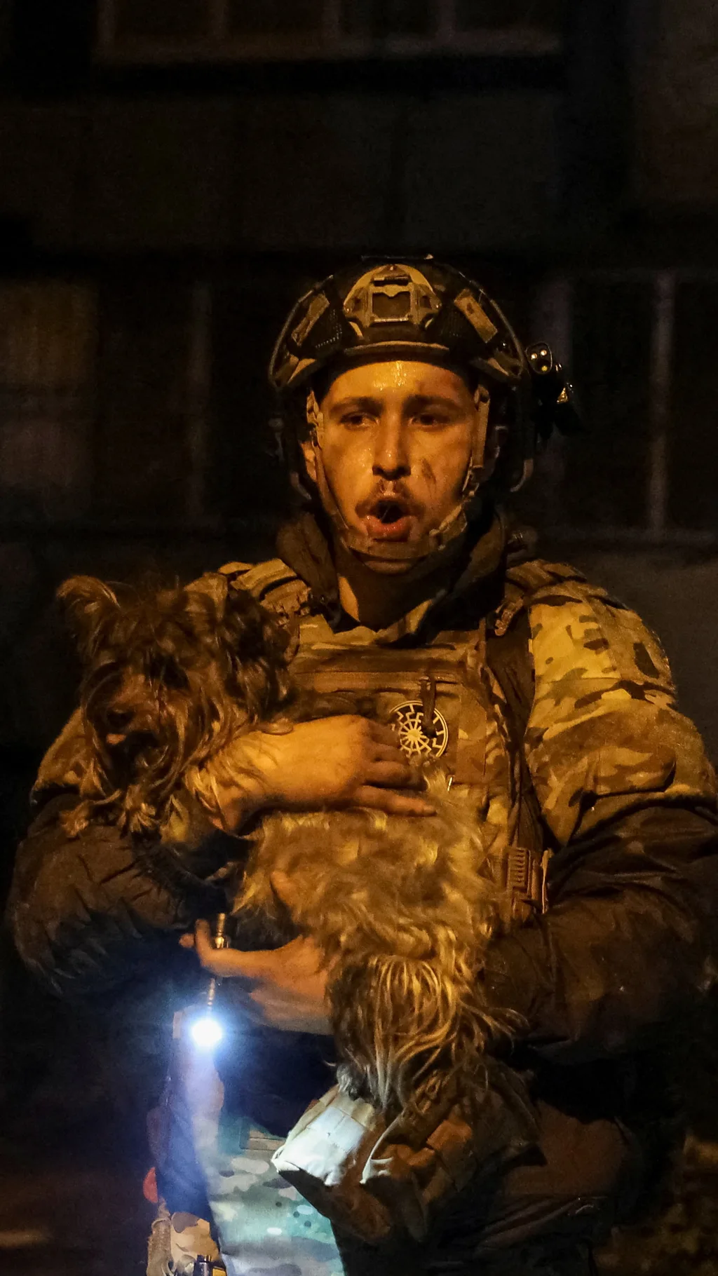 Спасатель эвакуирует собаку в Киеве