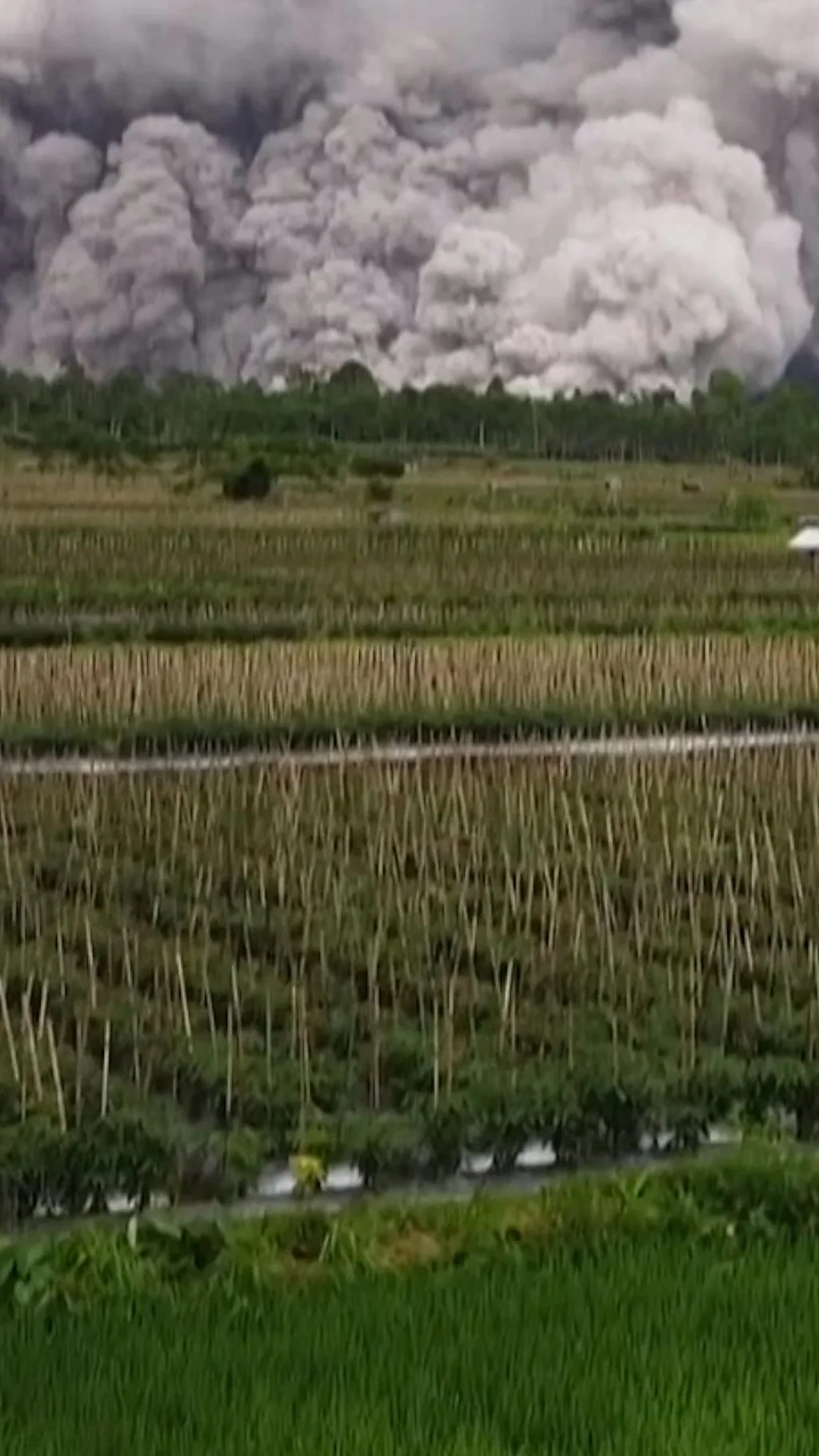 ज्वालामुखीच्या उद्रेकातून धूळ राखेचे मोठे ढग तयार झाले तेव्हा...