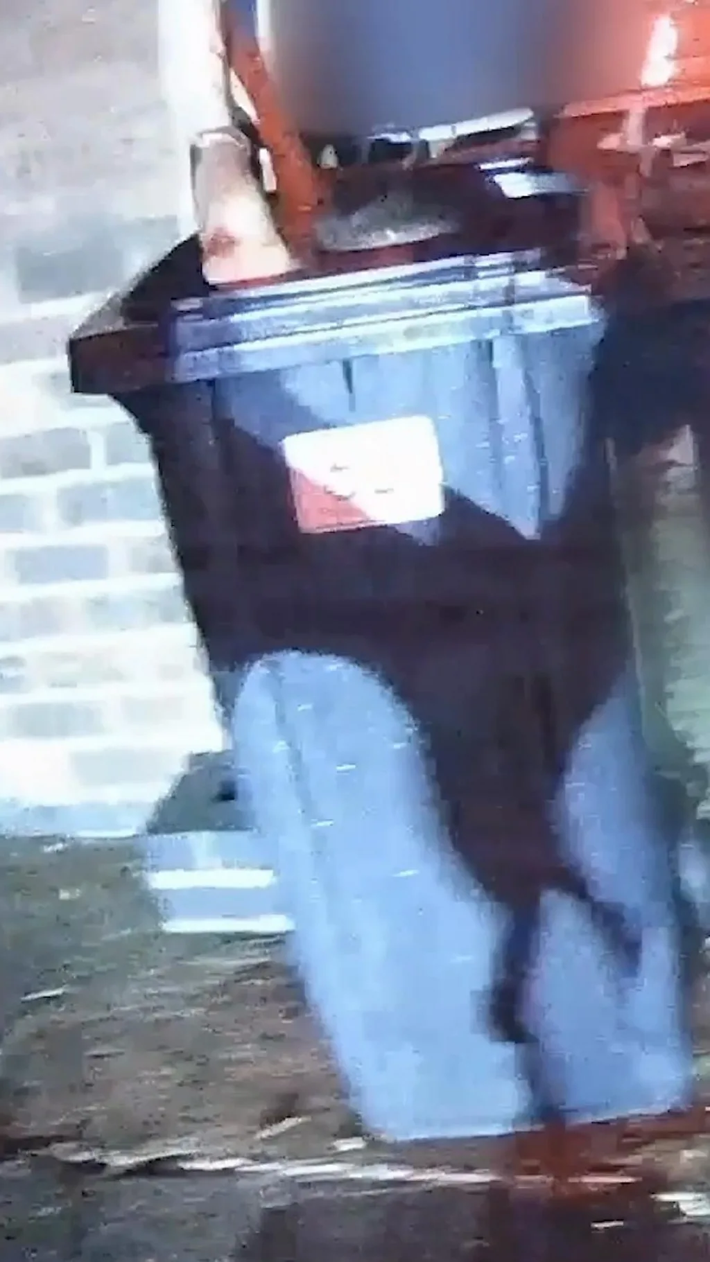 कुत्र्याने पोलिसांना कचरापेटीत लपलेल्या संशयिताला शोधून दिलं तेव्हा...