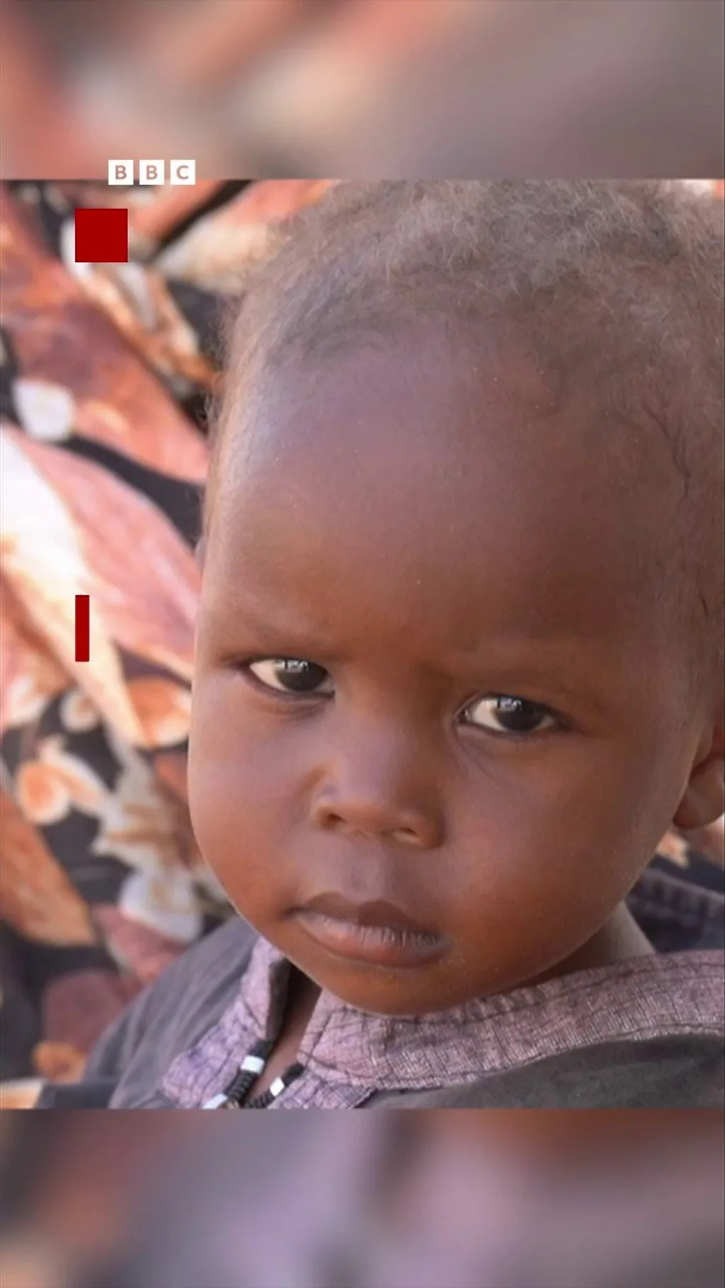 Certains d'entre eux, âgés d'à peine cinq ans, sont devenus orphelins.