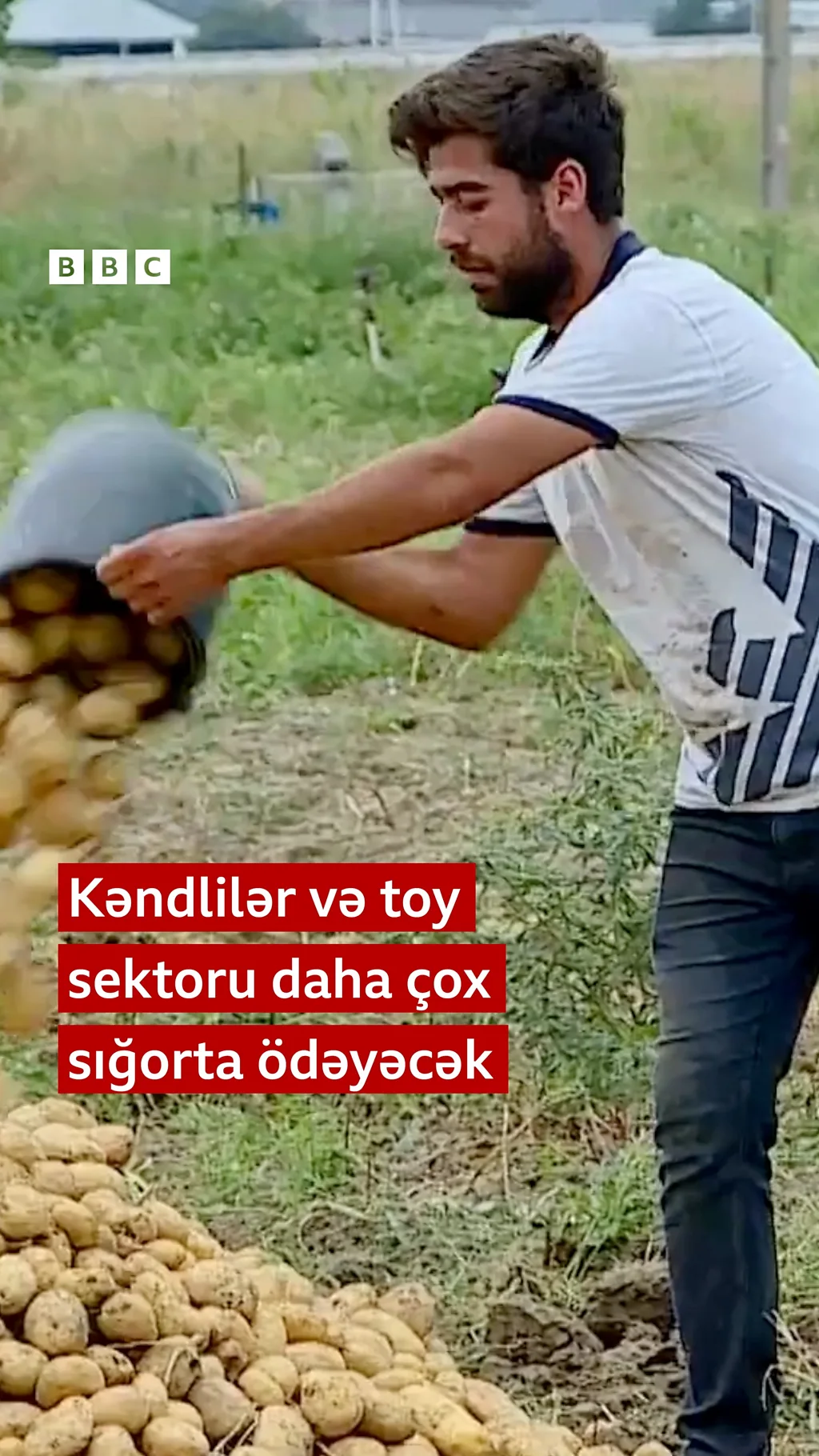 Kəndlilər və toy sektoru gələn ildən daha çox sığorta ödəyəcək