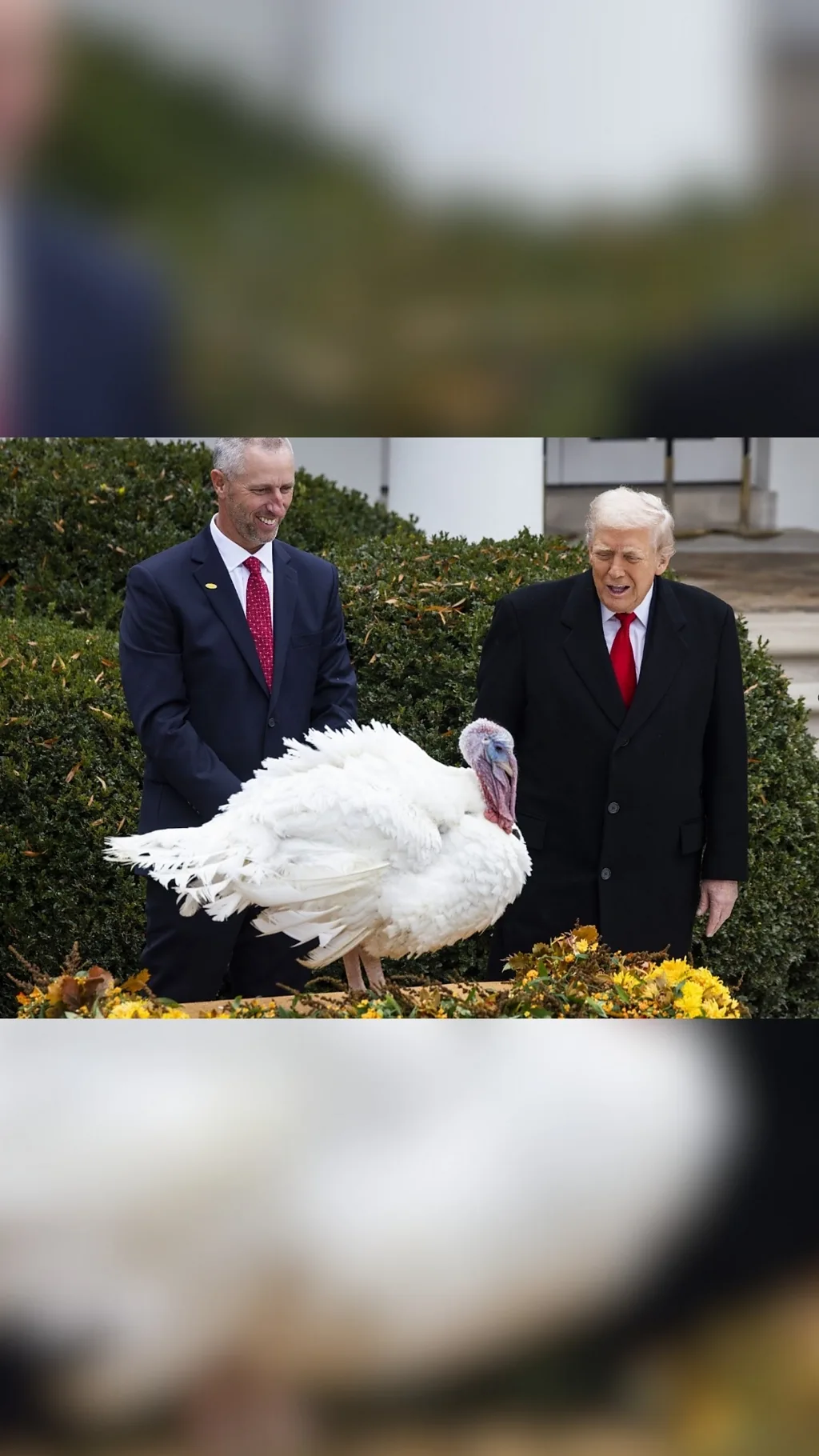 برنامج ترندينغ