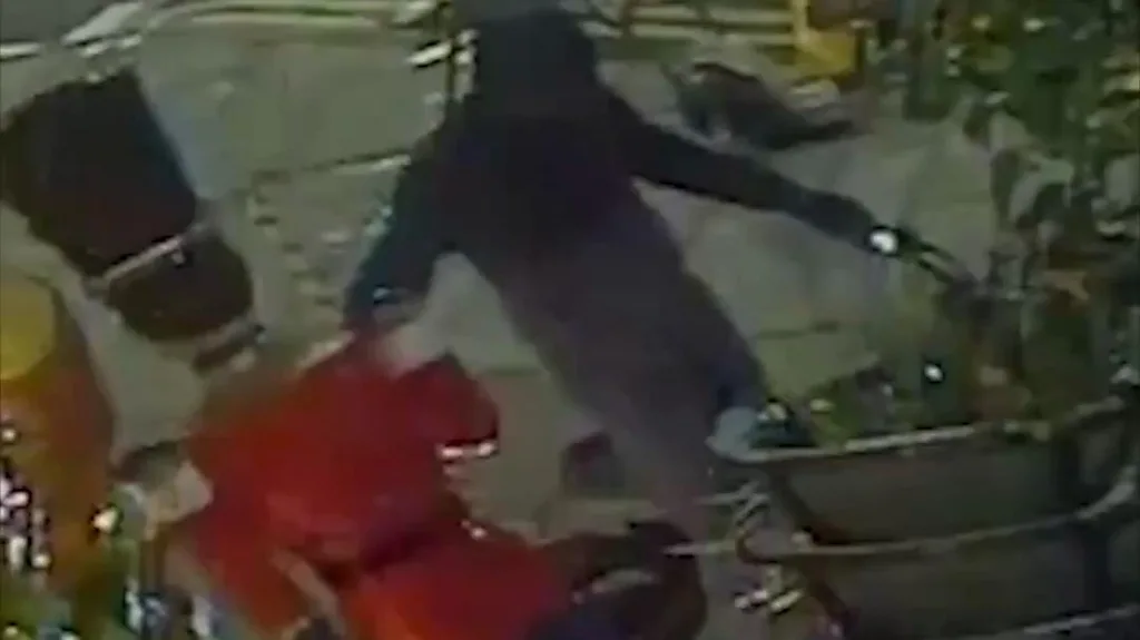 கிறிஸ்துமஸ் அலங்கார பொம்மையை திருடிச் சென்ற நபர்