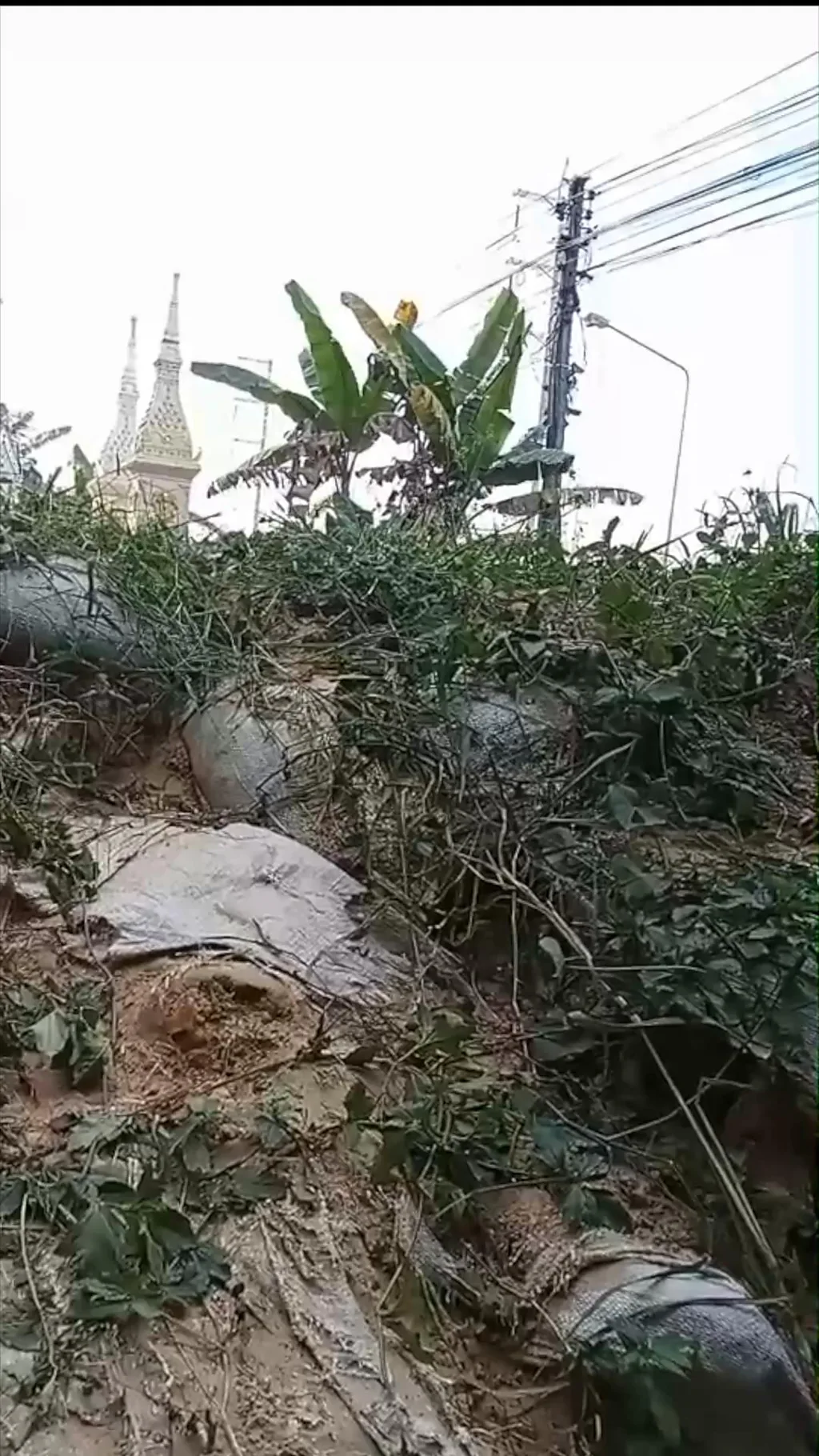 ไทย กัมพูชา