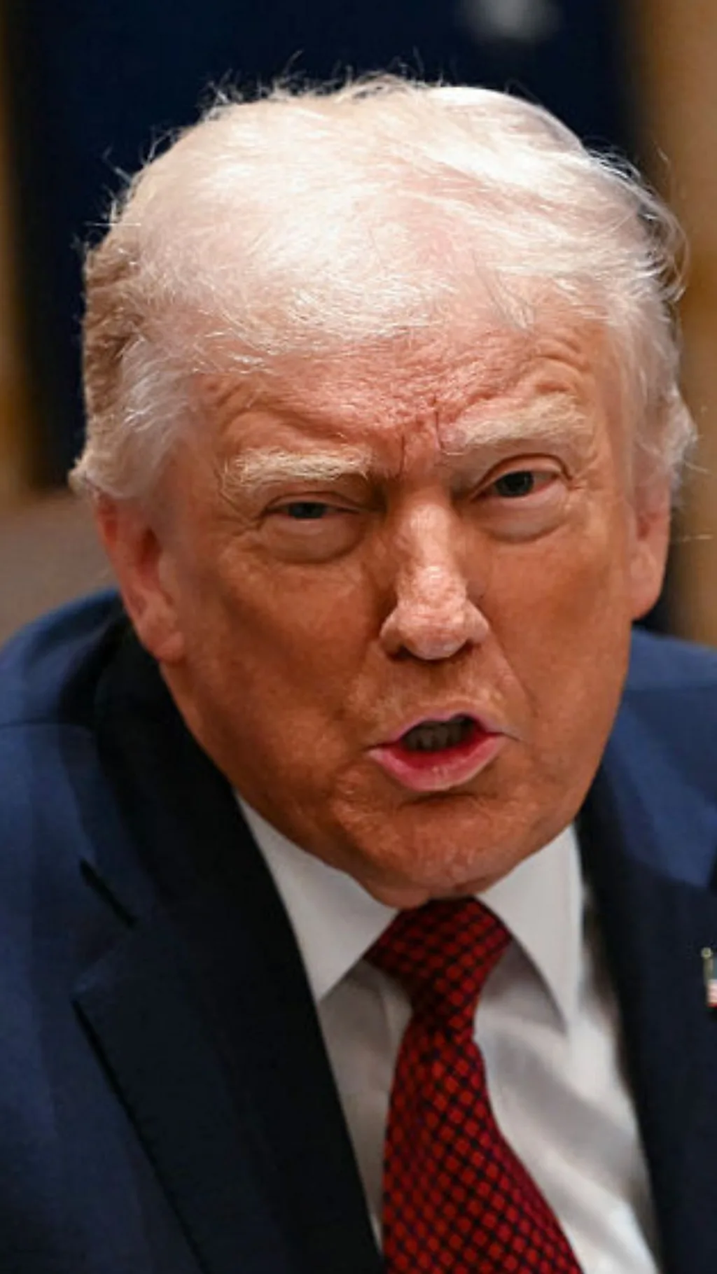 अमेरिका को भारत के चावल निर्यात पर क्या बोले ट्रंप?