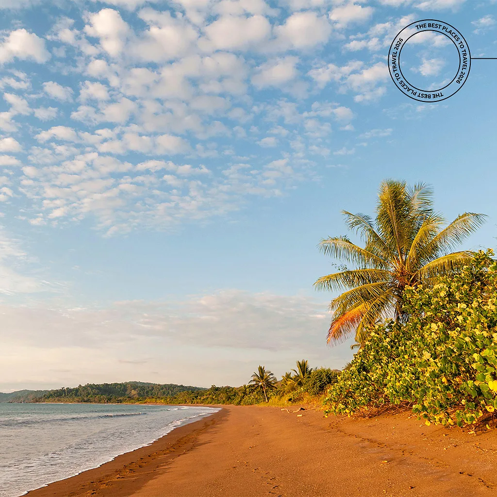 Costa Rica is strengthening conservation on both land and sea with a focus on jaguar habitats and shark protections (Credit: Alamy)