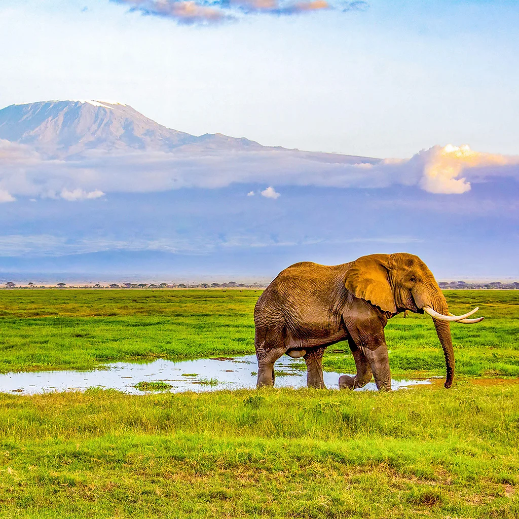 Visitors come to spot the 