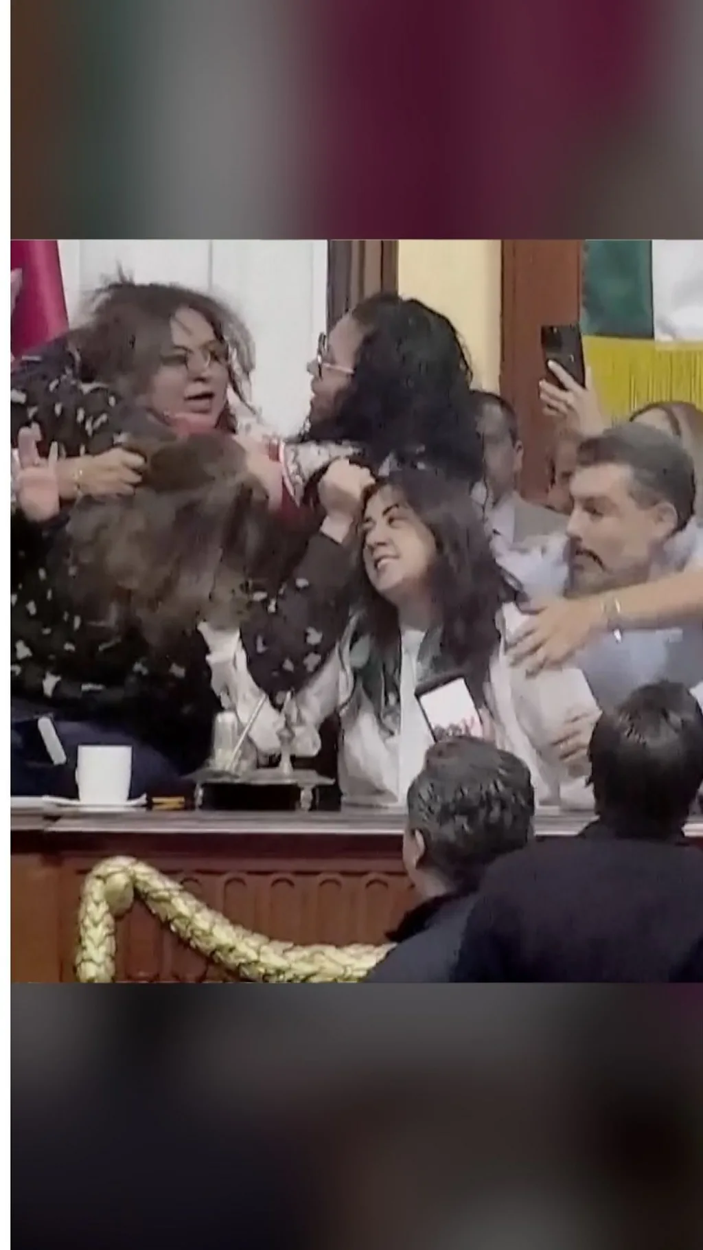 मेक्सिको सिटी की कांग्रेस में चर्चा के दौरान आपस में भिड़ गए सदस्य