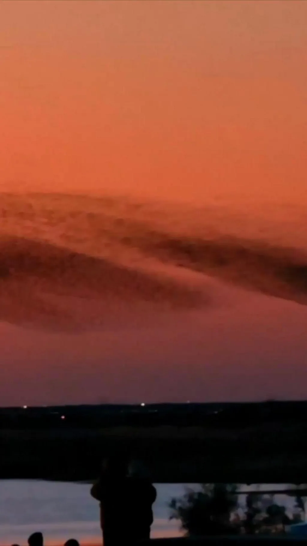 प्रवासी चराहरू