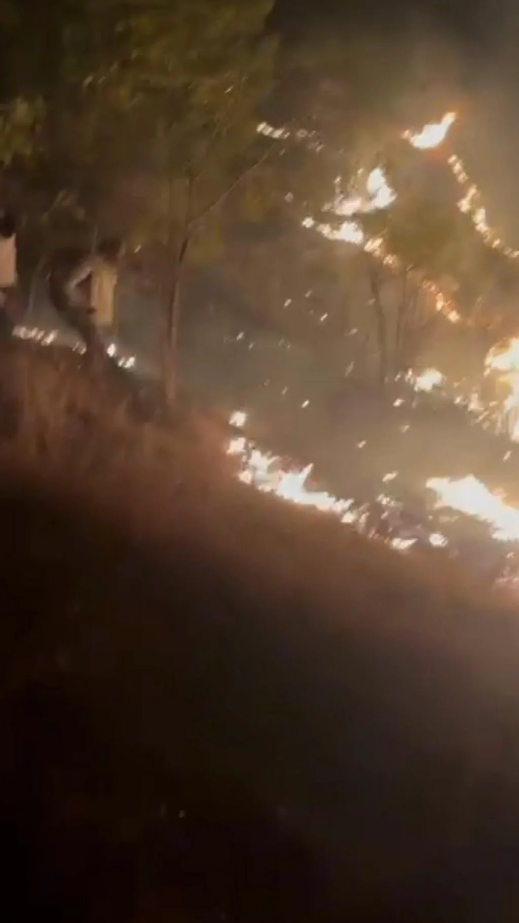 सह्याद्री देवराई